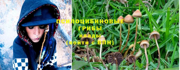 MDMA Premium VHQ Гусев