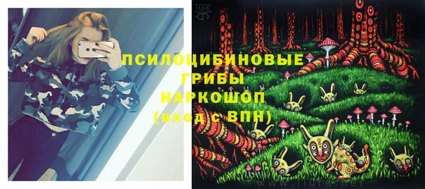 скорость Гусь-Хрустальный