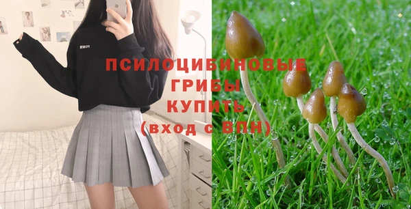 мдпв Гусиноозёрск