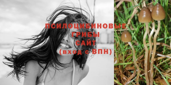 MDMA Premium VHQ Гусев